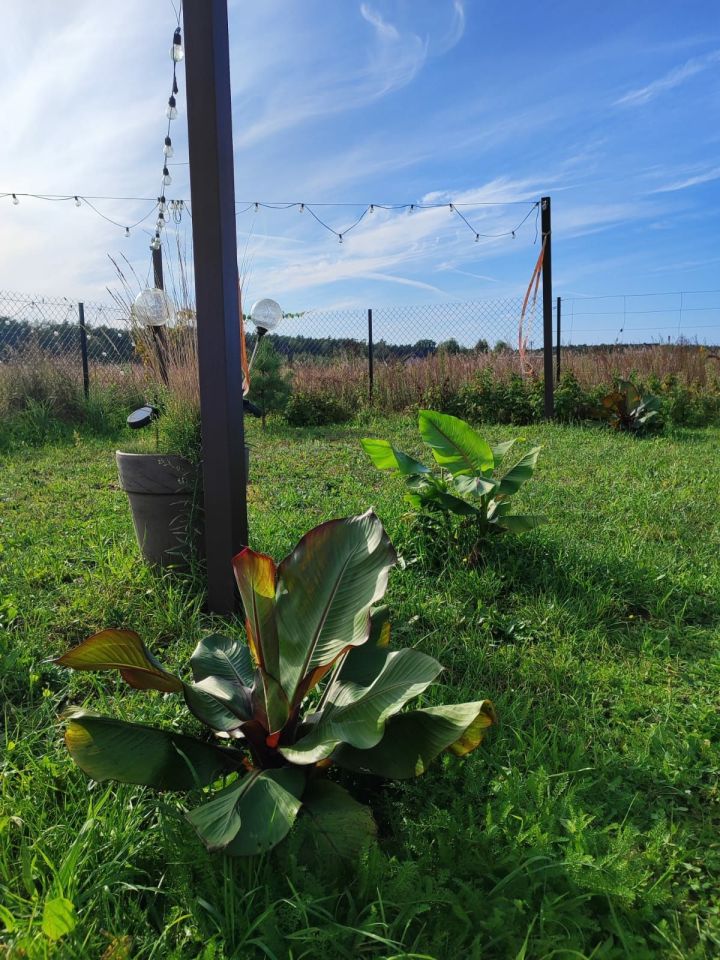 Działka budowlana Sowinki. Zdjęcie 2