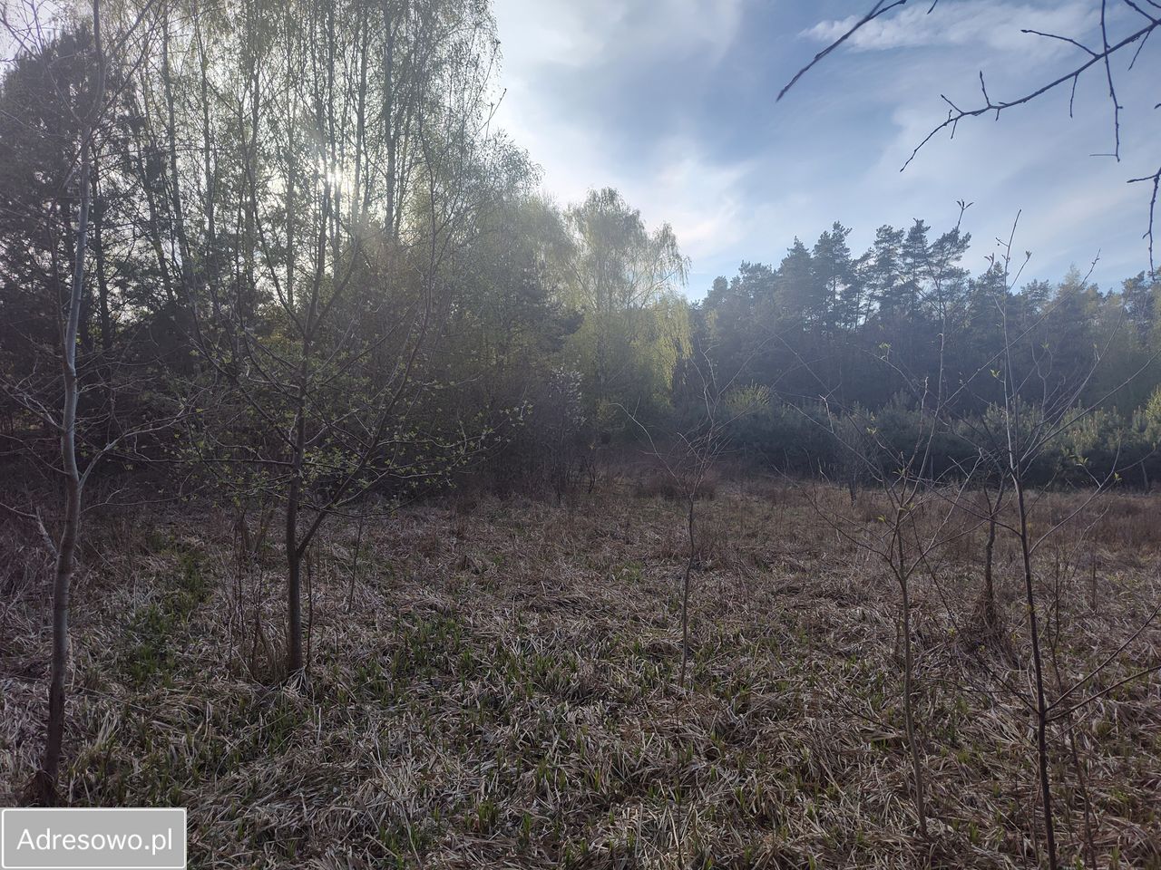 Działka budowlana Chełmce