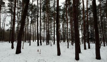 Działka budowlana Chylice, ul. Sąsiedzka