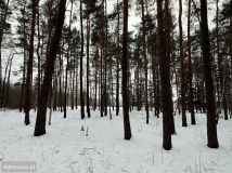 Działka budowlana Chylice, ul. Sąsiedzka. Zdjęcie 1
