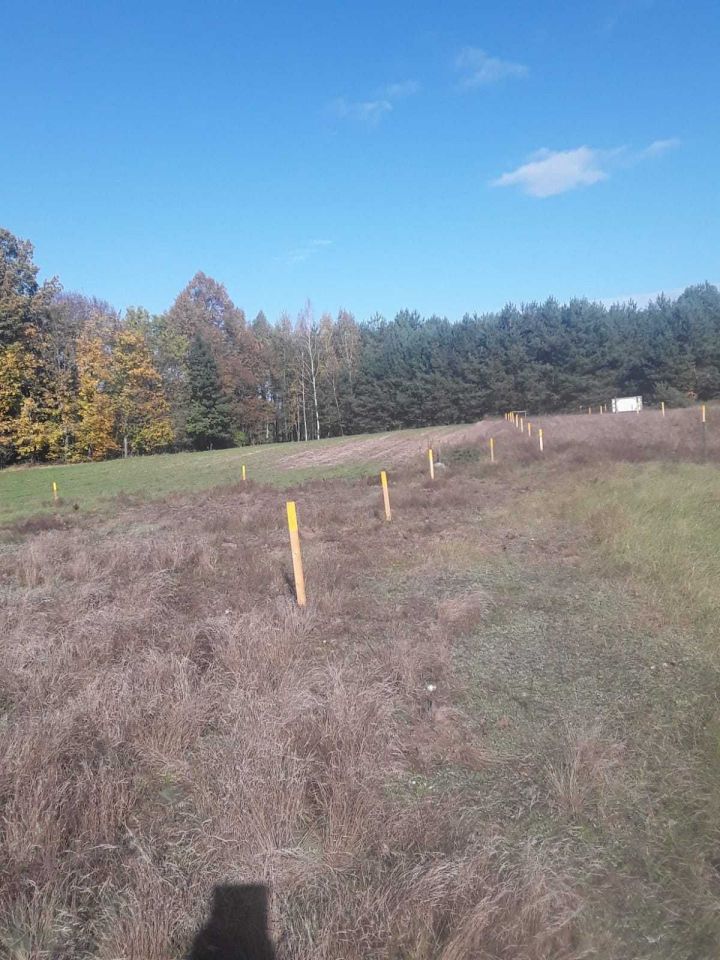 Działka rolno-budowlana Ostrówka. Zdjęcie 8