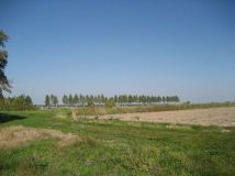 Działka budowlana Załuski, ul. Leśna. Zdjęcie 2