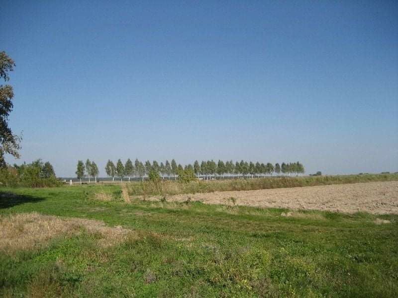 Działka budowlana Załuski, ul. Leśna. Zdjęcie 3