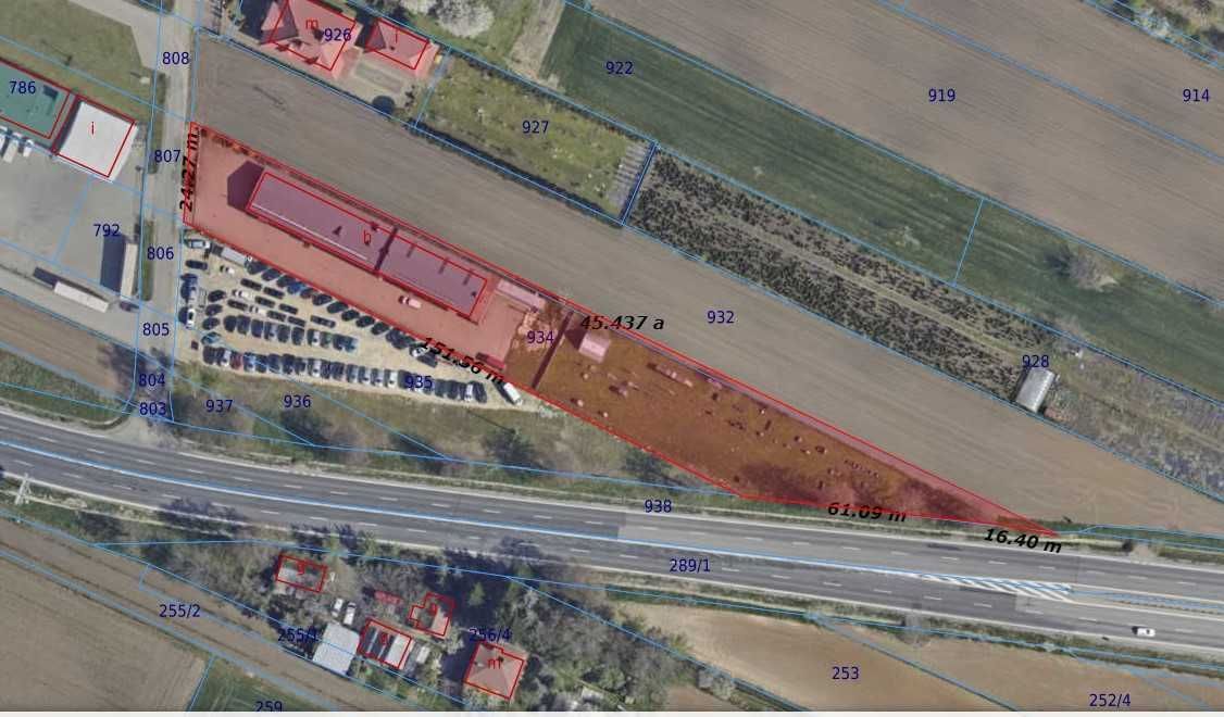 Lokal Wierzbna. Zdjęcie 2