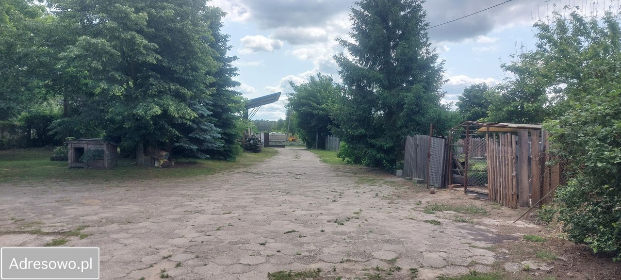Działka inwestycyjna Juliszew. Zdjęcie 8