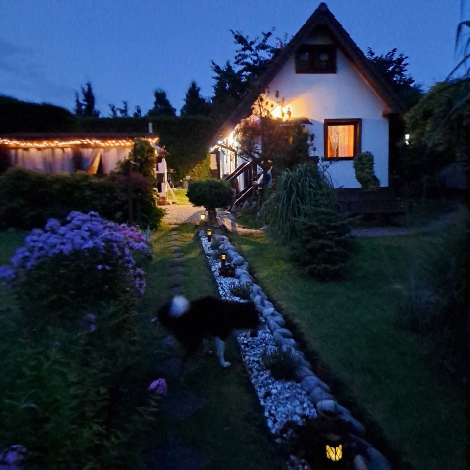 Działka rod Pszów. Zdjęcie 8