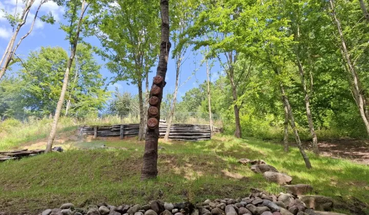 Działka rekreacyjna Brodnica Górna Kamionka