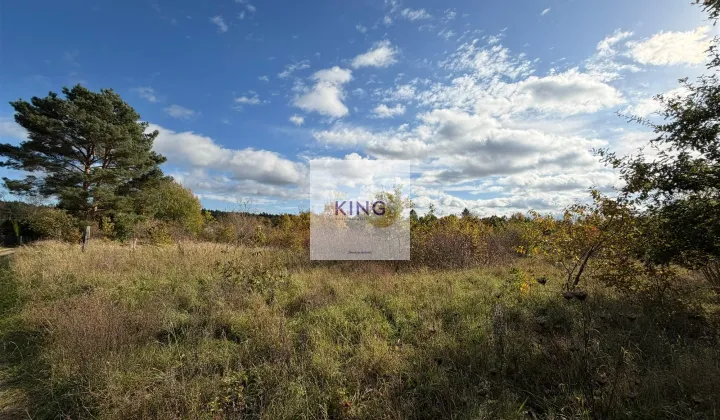 Działka siedliskowa Żórawie Szczawno