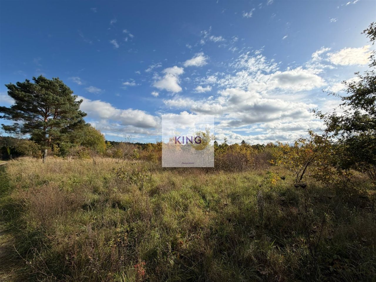 Działka siedliskowa Żórawie Szczawno