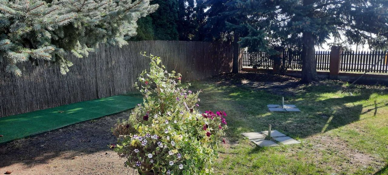 Działka inwestycyjna Konin Laskówiec. Zdjęcie 8