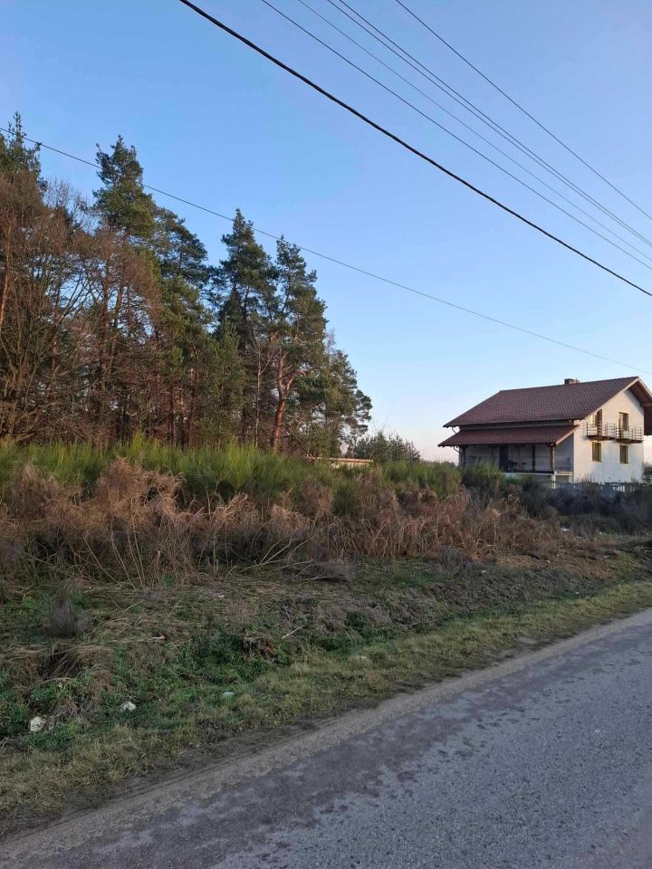 Działka Sadek. Zdjęcie 4