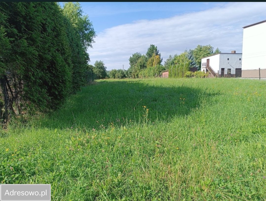 Działka rolno-budowlana Rydułtowy, ul. Walerego Wróblewskiego. Zdjęcie 4