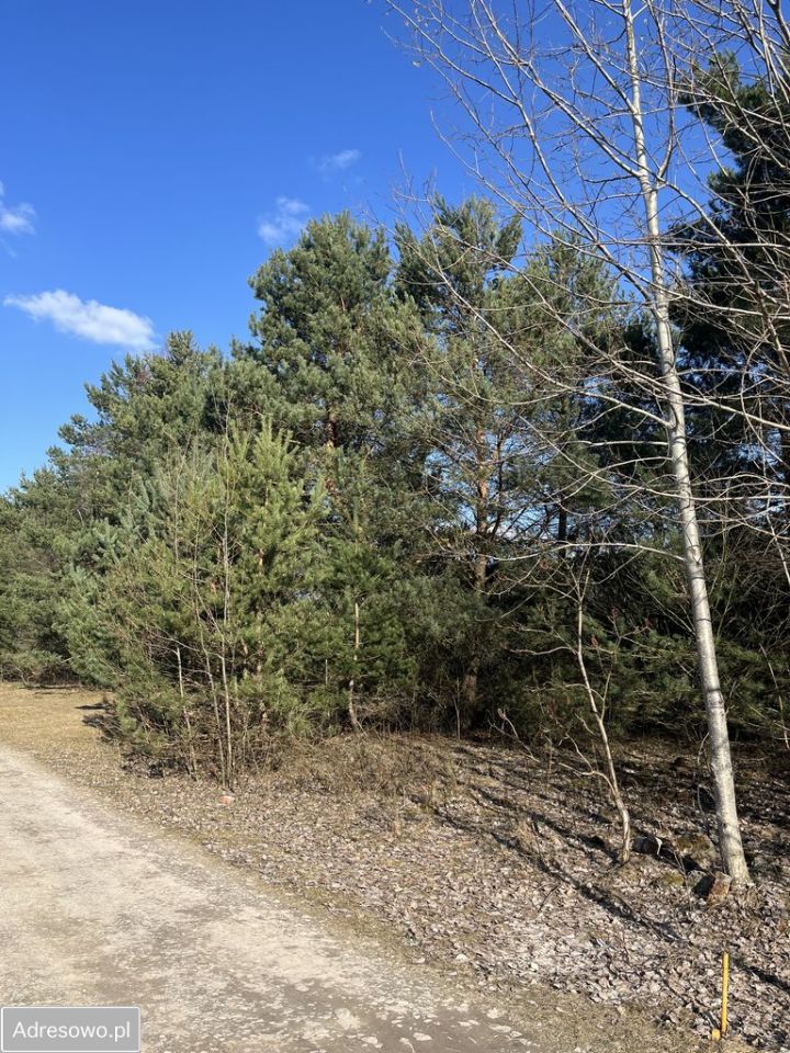Działka budowlana Zofiówka, ul. Jaśminowa. Zdjęcie 8