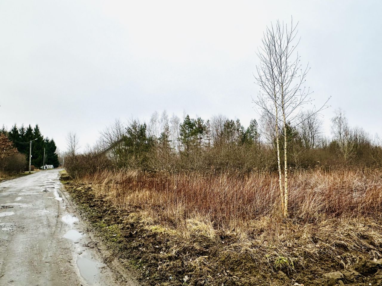 Działka rolna Wygoda. Zdjęcie 3