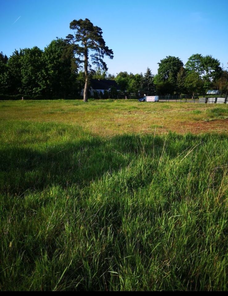 Działka budowlana Górne Wymiary. Zdjęcie 4