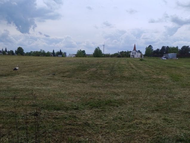 Działka inwestycyjna Dąbrowa Chełmińska, ul. Truskawkowa. Zdjęcie 1