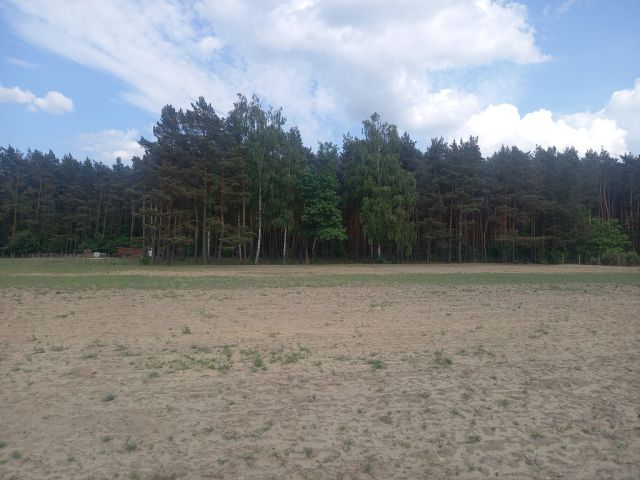 Działka inwestycyjna Wręcza. Zdjęcie 6