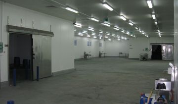 Hala/magazyn Wróblew