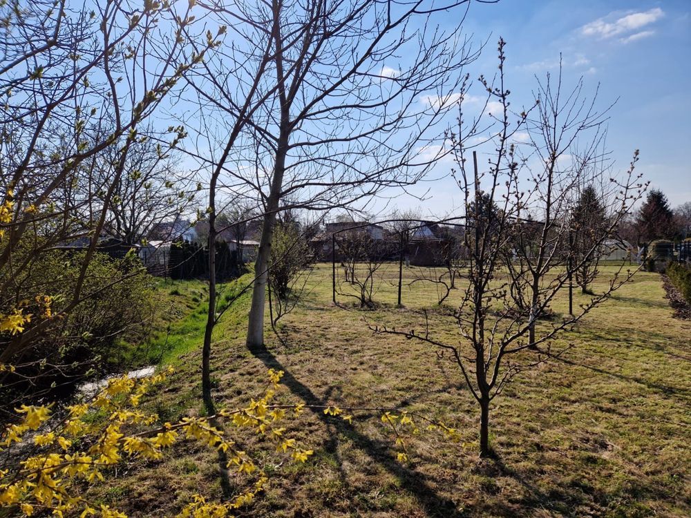 Działka rod Szlichtyngowa, ul. Daszyńskiego. Zdjęcie 2