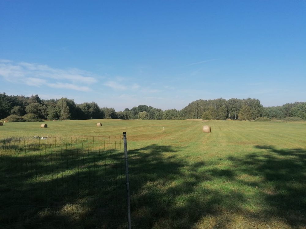 Działka budowlana Rychnów