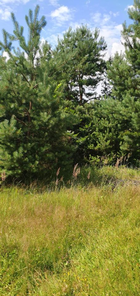 Działka rolna Życiny. Zdjęcie 7