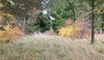 Działka rolno-budowlana Drohiczyn