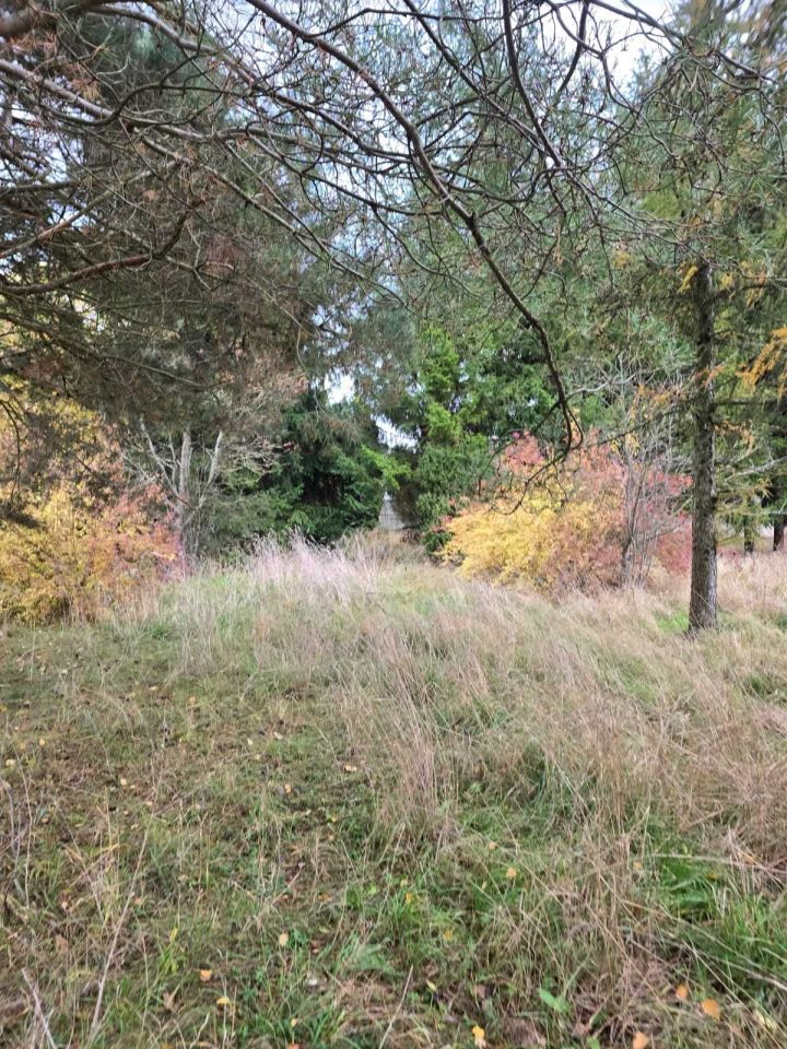 Działka rolno-budowlana Drohiczyn. Zdjęcie 2