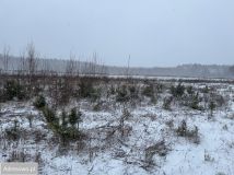 Działka budowlana Siestrzeń. Zdjęcie 4