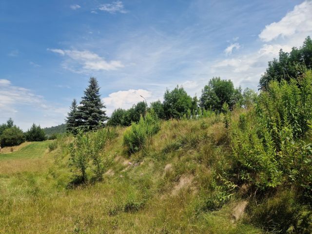 Działka inwestycyjna Sosnówka, ul. Liczyrzepy. Zdjęcie 11