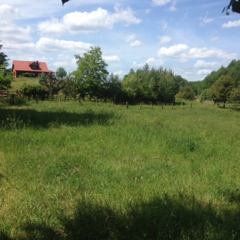 Działka rolna Urowo. Zdjęcie 1