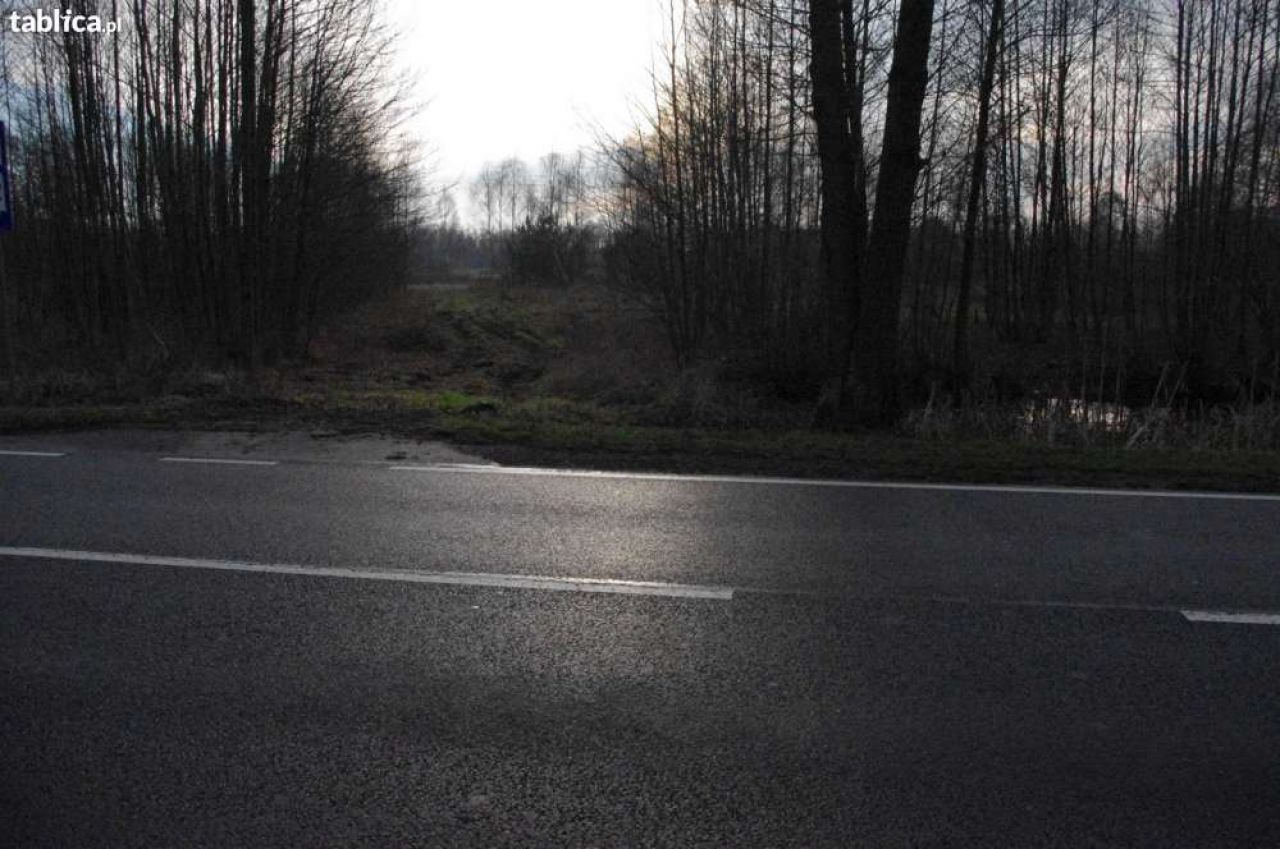 Działka budowlana Skoki Duże. Zdjęcie 4