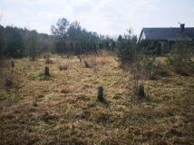 Działka rolno-budowlana Mazewo Dworskie"A". Zdjęcie 2