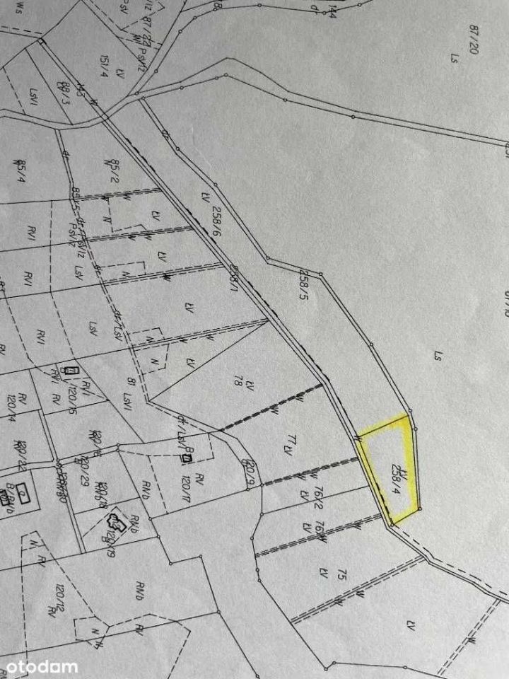 Działka rolna Bożepole Królewskie. Zdjęcie 4