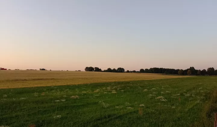 Działka rolna Mełpin