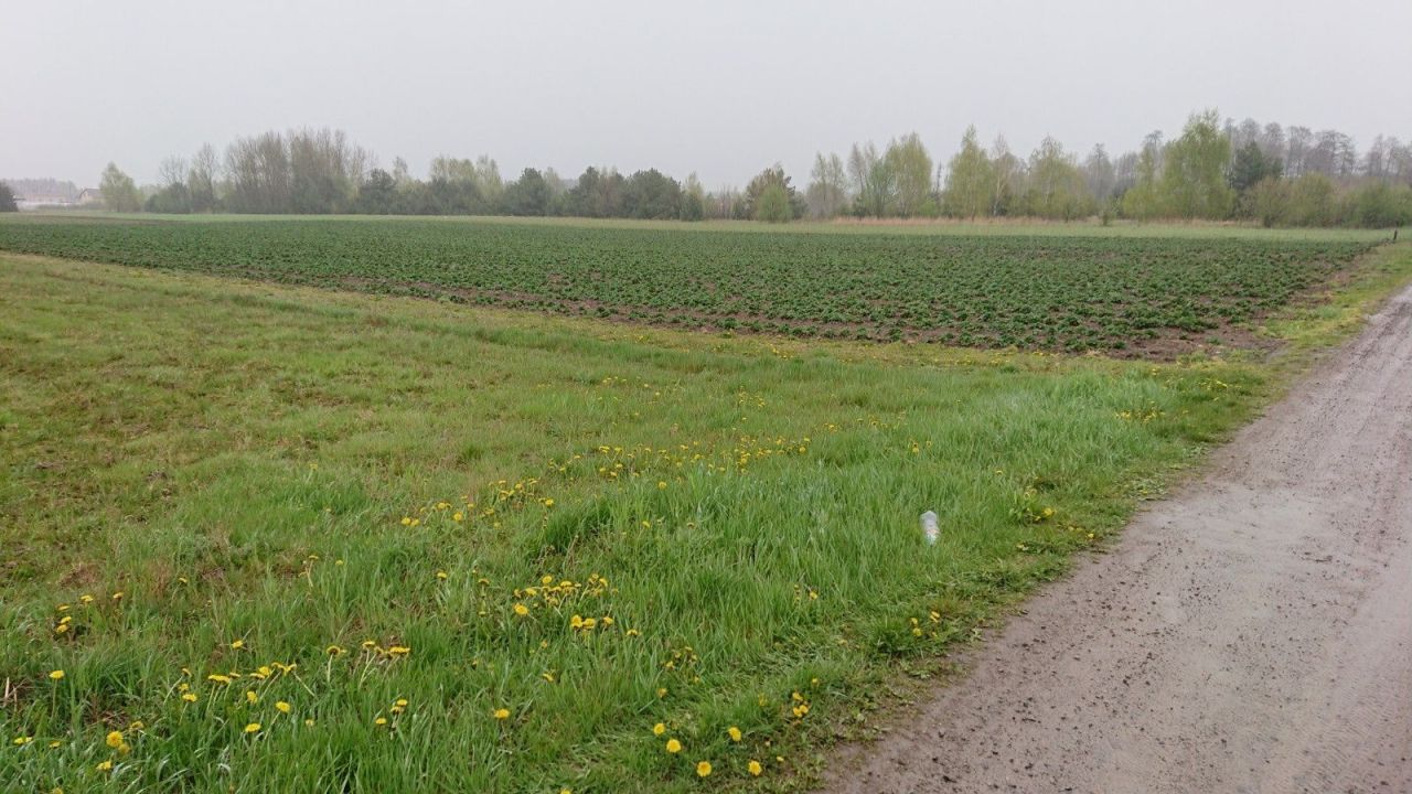 Działka rolno-budowlana Częstoniew. Zdjęcie 2