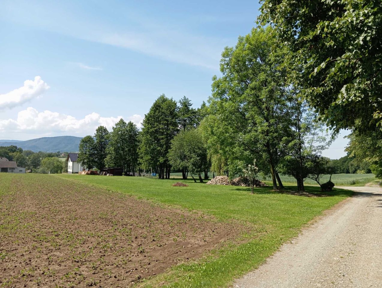 dom wolnostojący Bulowice, ul. Zamkowa. Zdjęcie 8