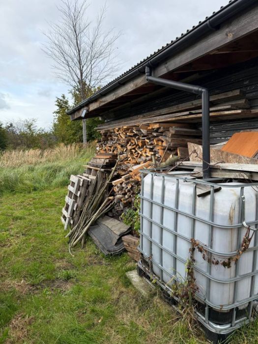 Działka rod Gdańsk Olszynka, ul. Modra. Zdjęcie 5