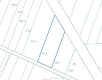 Działka leśna Domanice. Zdjęcie 2