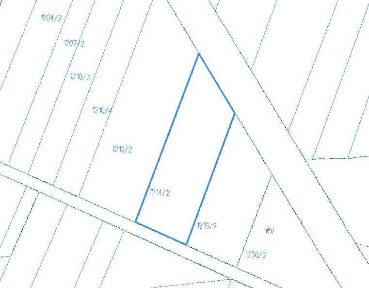 Działka leśna Domanice. Zdjęcie 3