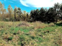 Działka rolno-budowlana Zabłudów, ul. Kolonia. Zdjęcie 3