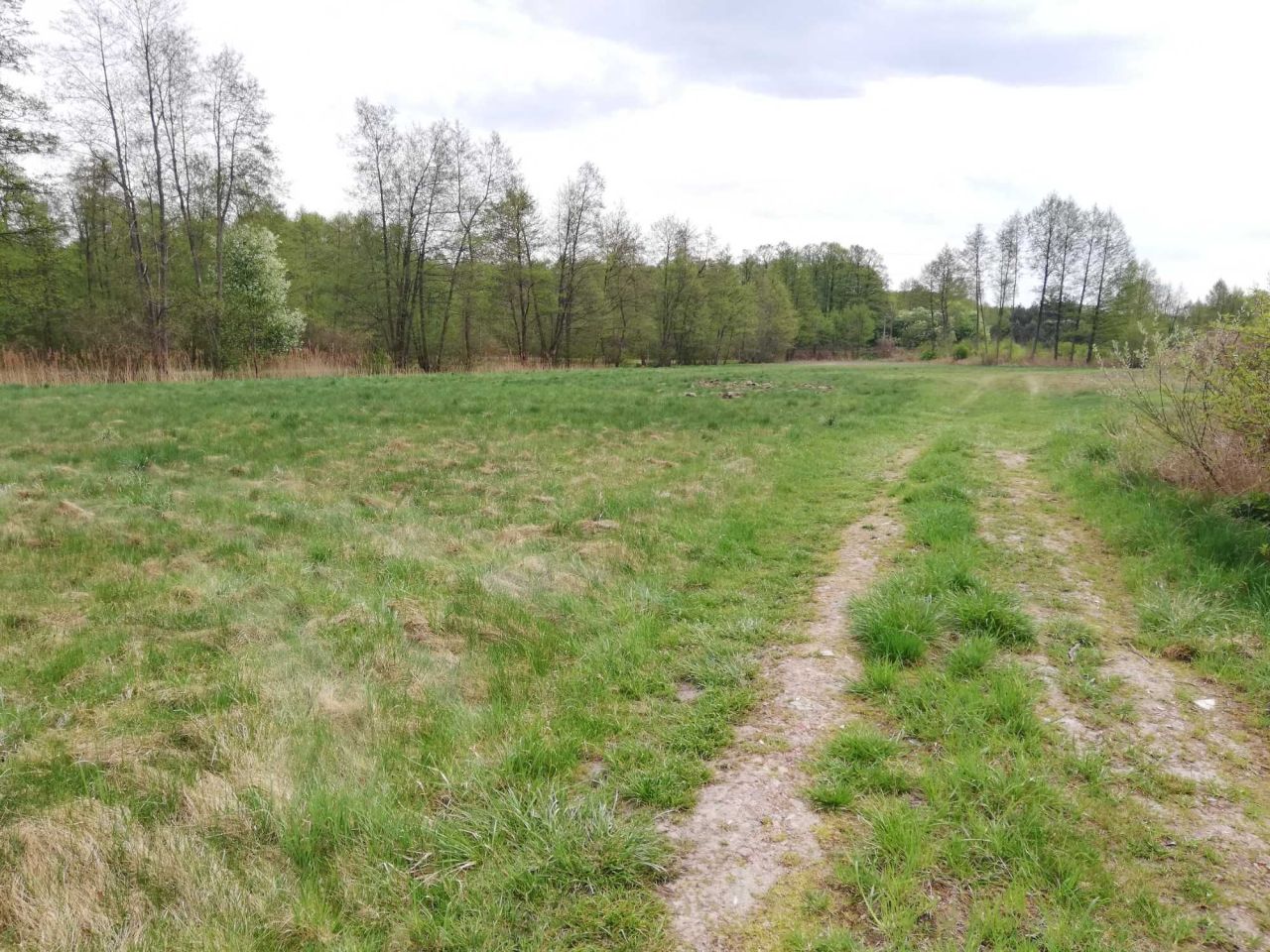 Działka rolna Jastrzębsko Stare. Zdjęcie 5