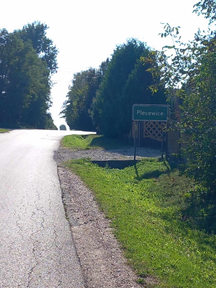 Działka rolno-budowlana Plecewice. Zdjęcie 11