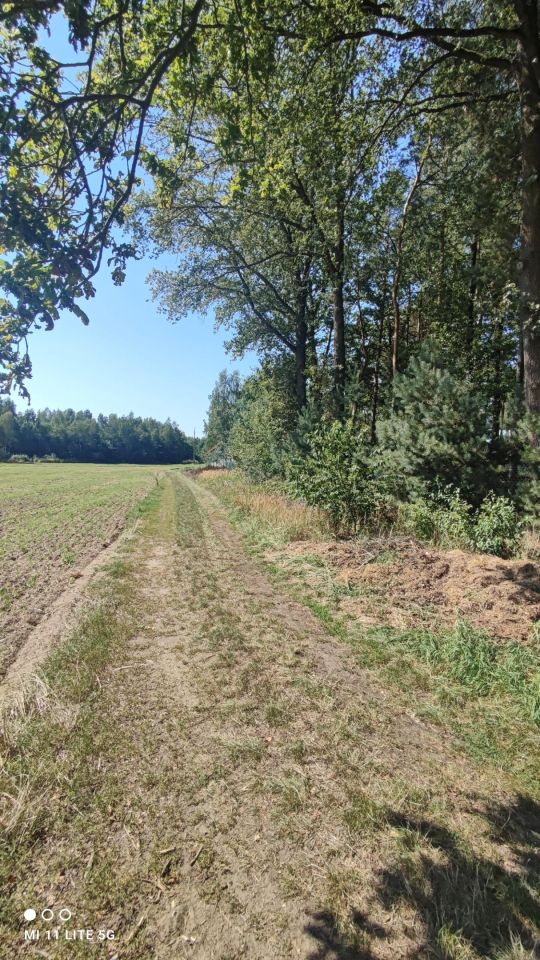 Działka budowlana Bądzyń, ul. Zbigniewa. Zdjęcie 5