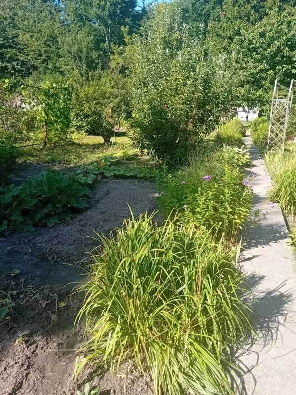 Działka rod Elbląg, ul. Okrężna. Zdjęcie 5