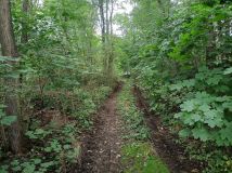 Działka budowlana Żerkowice. Zdjęcie 3