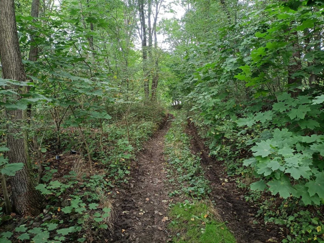 Działka budowlana Żerkowice. Zdjęcie 4