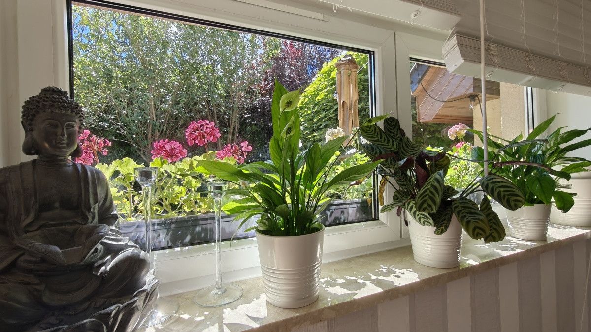 bliźniak, 4 pokoje Bojano, ul. Promienna. Zdjęcie 19