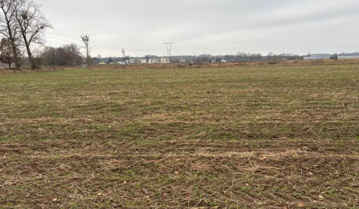 Działka rolna Radowo Małe