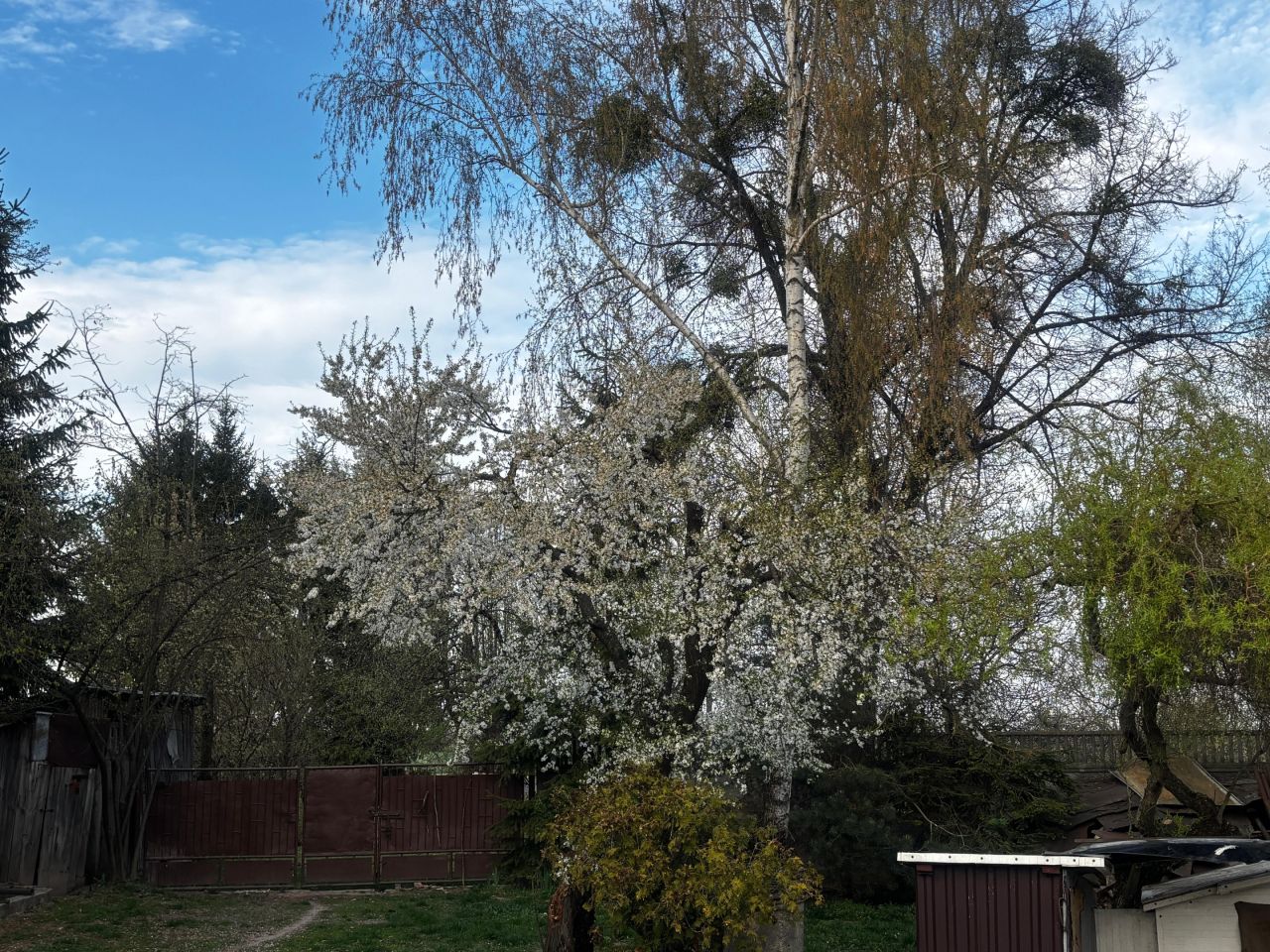 dom wolnostojący, 3 pokoje Oficjałów. Zdjęcie 22