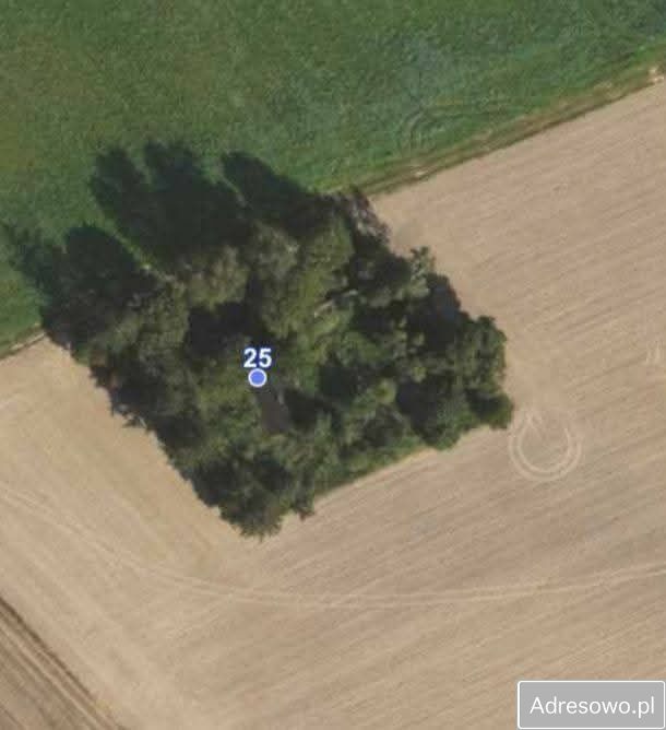 siedlisko, 3 pokoje Łubki. Zdjęcie 3